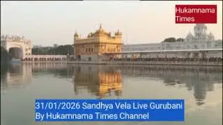 31 Jan Amritsar Sri Harmandir Sahib Live Today | darbar sahib live | sgpc live today |