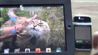 Ipad Facetime Ring Problems