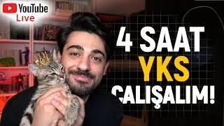 YKS'ye 155 Gün Kala Benimle Verimli Çalış! | 4 SAAT BİRLİKTE ÇALIŞALIM! | Study With Me Live