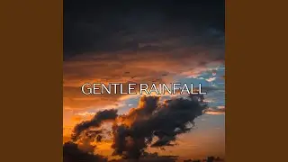 Concentrate with Calming Rain: Enhance Your Focus Naturally