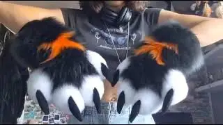 Cross Paws for Anonymous Buyer