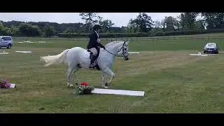 Precious Jake BE91 2nd place ODE