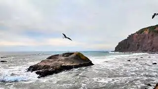 Ocean Chill House, Relaxing Coastal Sunset Music
