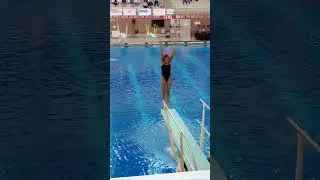Dive 5211d DD1.7 1Meter Springboard - Diving OSU