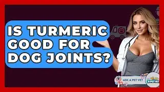 Is Turmeric Good For Dog Joints? - Ask A Pet Vet