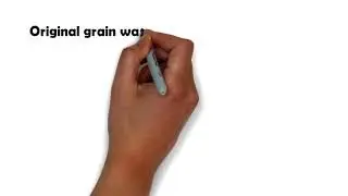 Original Grain Watch Review