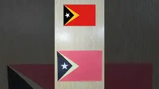 Timor-Leste🇹🇱#shorte #origami #shortvideo #shotefeed #trending