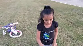kids Nature walk , finding bugs in grass