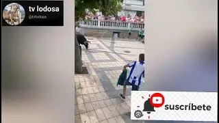 Segundo toro con soga lodosa cogidas 2025
