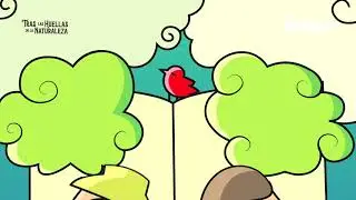 Tras las Huellas de la Naturaleza emision 12 TV BUAP