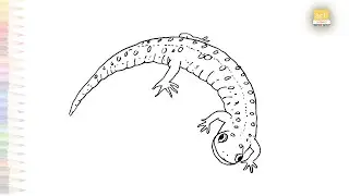 Salamander drawing | Spotted Salamander drawings | How to draw Salamander step by step | #artjanag