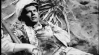 Battle of Peleliu - Final Days: An Eyewitness Account