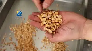 Small Air Type Peeling Machine For Peeling Spiced Peanuts