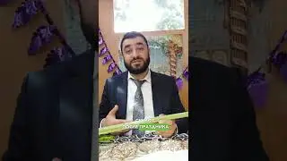 🎋Лулав - сгула для защиты дома | Рав Исраэль Якобов