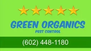 Green Organic Pest Control Reviews Metro Phoenix