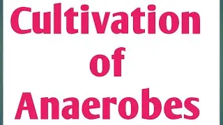 Cultivation of Anaerobes|Pharmaceutical Microbiology|Unit 1|Sem 3 #anaerobic #culture #microbiology