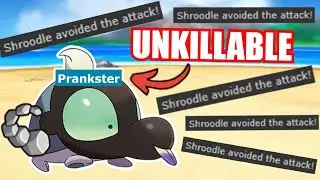 COPY CAT LAGGING TAIL shroodle is UNKILLABLE! Pokemon Scarlet and Violet Little Cup