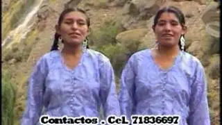 los tunantes de yocalla y las encantadoras de potosi  borraha perdida