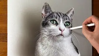Drawing Cat 😻 so real that you can hear its purr!!!