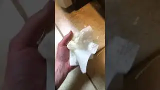 How to pick up a broken egg off the ground