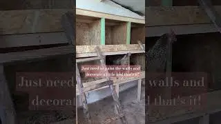 New nesting boxes!💪🏼🪚#nesting #chickencoop #chickens #chicken #diy #viral #shorts #youtubeshorts #4k