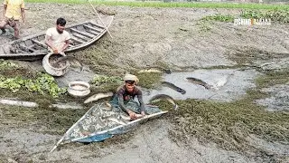 Unbelievable Fish Trap - Smart Boy Build Fish Trap By net | Catch a Lots of Fish In The Pond