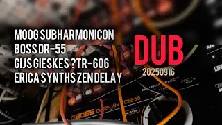 moog subharmonicon,boss dr-55,gijs gieskes ?tr-606 and zen delay_dub_20250916