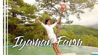 Glamping in Bauko, Mountain Province | Infinity pool in the middle of the woods! | Travel Video
