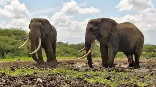ol Donyo Lodge Highlights | Great Plains