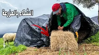 يوم صعب في المزرعة… لكن الأغنام أولًا /🌧️🐑