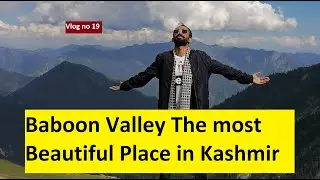 Baboon Top Hike from Jabri Top Baboon Valley Kashmir