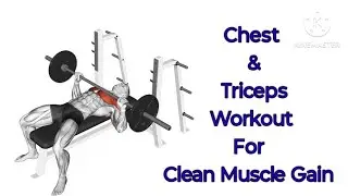 Chest & Triceps Workout For Clean Muscle Gain l Mohit Fitness