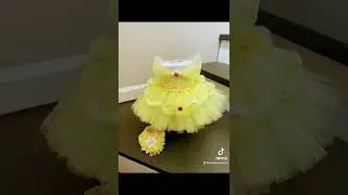 Princess belle tutu dress inspired for new born so happy ❤️❤️ #sold #princessbelle #tutudress