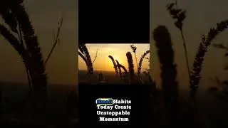 Small Habits Build Greatness | Daily Motivation #shorts #motivation