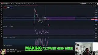 Peanut the Squirrel: Price Action & Bullish Breakout! #shorts