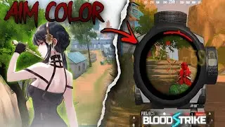 AIM COLOR BLOOD STRIKE |