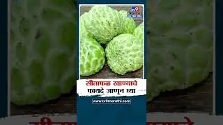 Benefits Of Custard Apple | फळ एक फायदे अनेक! सीताफळ खाण्याचे शरीराला होणारे फायदे जाणून घ्या #TV9D