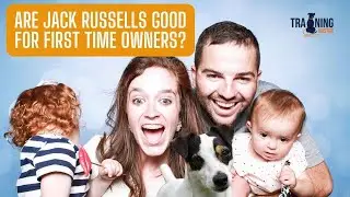 Are Jack Russell's Good For First Time Owners?