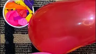 SATISFYING ASMR COLORFUL BALLOON BLOW & POP COMPILATION&hellip;!!#balloonpopping #asmr 