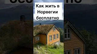 Как жить в Норвегии бесплатно #shorts #норвегия