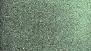 20101008 20101014 i