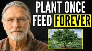 Plant Once, Feed Forever: Why Don't You Know About It?