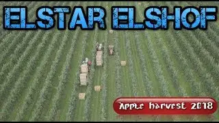 Elstar Elshof harvest 2018