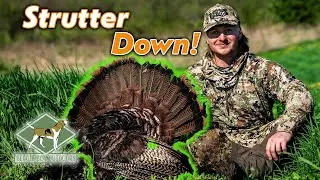 Tom Full Strut at 15 Yards! | Wisconsin Turkey Hunt 2024 |