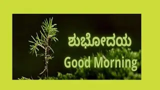 🌺ಅತ್ತೆ ಮೇಲೆ ಕೋಪ ಕತ್ತೆ 🌟ಮೇಲೆ ತೋರಿಸಿದ್ರು ☕💞