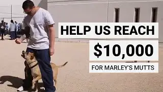 Last Chance to support Marley's Mutts through Rescue Roast