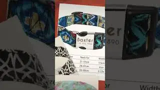 BEST Pet Collar Engraved ID Tag Nameplate Reflective - Ftfmket.com