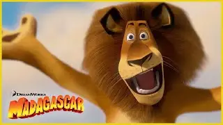 Una isla desértica misteriosa... 😲🏝️🦁 | DreamWorks Madagascar en Español Latino