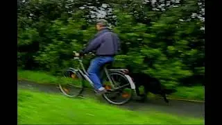 Наши в Германии. Участие в AD-тесте. г. Шлезвиг, 1998 год