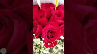 valentine flowers